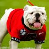 Adorable Georgia Bulldog Diamond Paintings