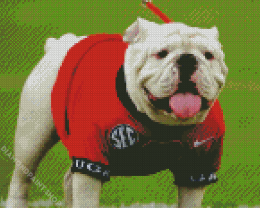 Adorable Georgia Bulldog Diamond Paintings