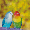 Lovely Lovebirds Diamond Paintings