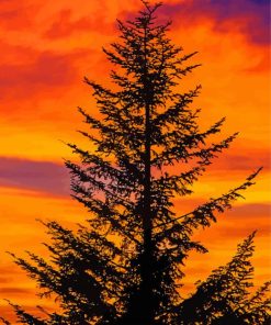 Balsam Fir Tree Silhouette Diamond Paintings