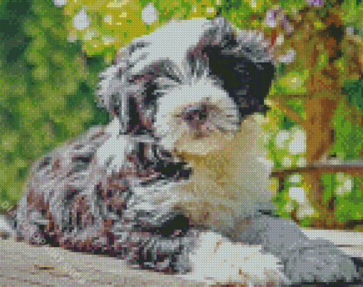 Black And White Tibetan Terrier Animal Diamond Paintings