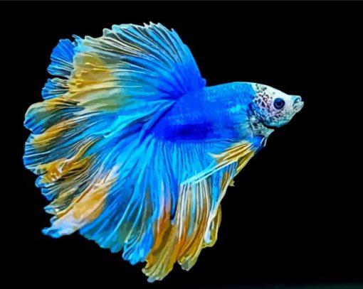 Blue Siamese Fighting Fish Diamond Paintings