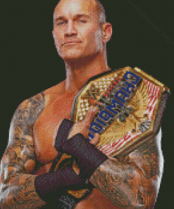 Handsome Randy Orton Diamond Paintings