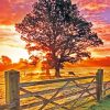 Country Side Sunset Diamond Paintings