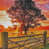 Country Side Sunset Diamond Paintings