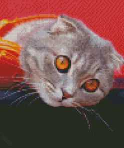 Cute Cat Listening Music Diamond Paintings