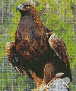 Golden Eagle Diamond Paintings