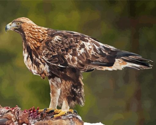 Adorable Golden Eagle Diamond Paintings