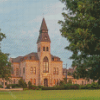 Kansas State University Diamond Paintings