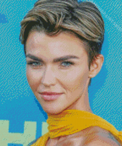 Model And Actress Ruby Rose Diamond Paintings