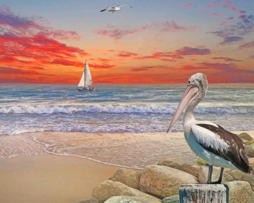 Pelican Birds Diamond Paintings