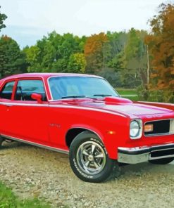 Aesthetic Red 1974 Gto Diamond Paintings