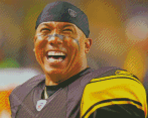 American Football Wide Receiver Hines Ward Diamond Paintings