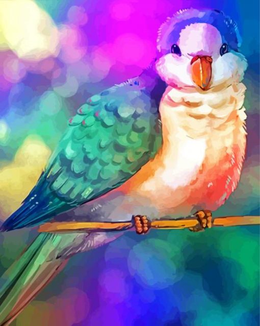 Colorful Quaker Parrot Diamond Paintings