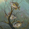 Crappie Fishes Diamond Paintings