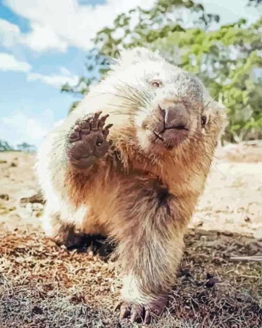 Cute Wombat Diamond Paintings