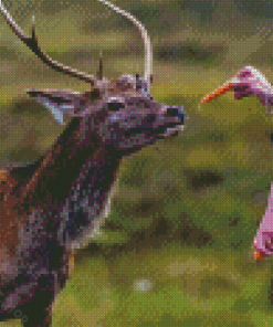 Deer Feeding Diamond Paintings