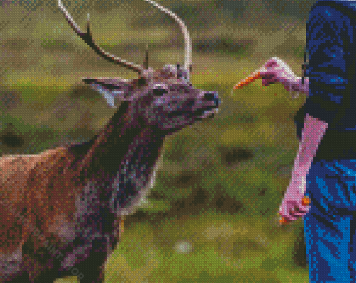 Deer Feeding Diamond Paintings