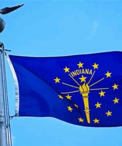 Flying indiana Flag Diamond Paintings