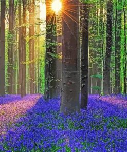 Forest With Bluebells Diamond Painting