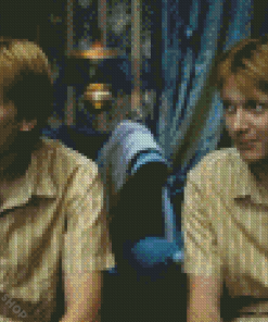 Fred Et George Weasley Characters Diamond Paintings