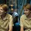 Fred Et George Weasley Characters Diamond Paintings