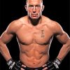 Georges St Pierre Diamond Paintings