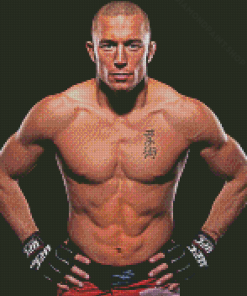 Georges St Pierre Diamond Paintings