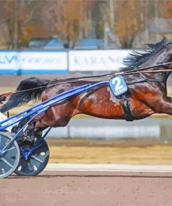 Harness Racing Diamond Paintings