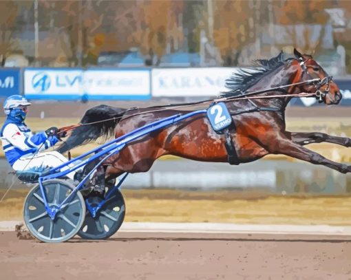 Harness Racing Diamond Paintings