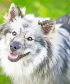 Keeshond Dog Animal Diamond Paintings