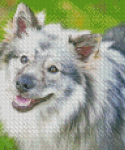 Keeshond Dog Animal Diamond Paintings