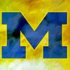 Michigan Wolverines Art Diamond Paintings