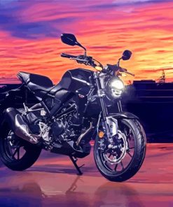 Motocycle Honda Sunset Diamond Paintings