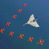 Red Arrows Farewell To Vulcan Diamond Paintings