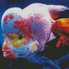 Red Devil Fish Undersea Diamond Paintings