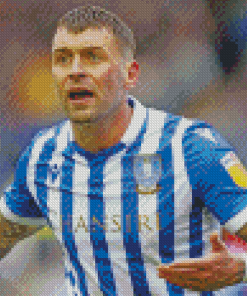 Sheffield Wednesday Footballer Diamond Paintings