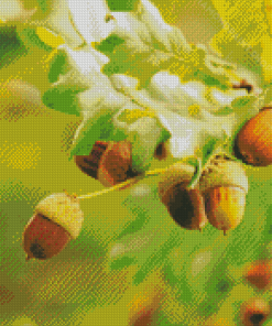 The Acorn Diamond Paintings