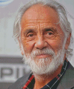 Tommy Chong Actor Diamond Paintings