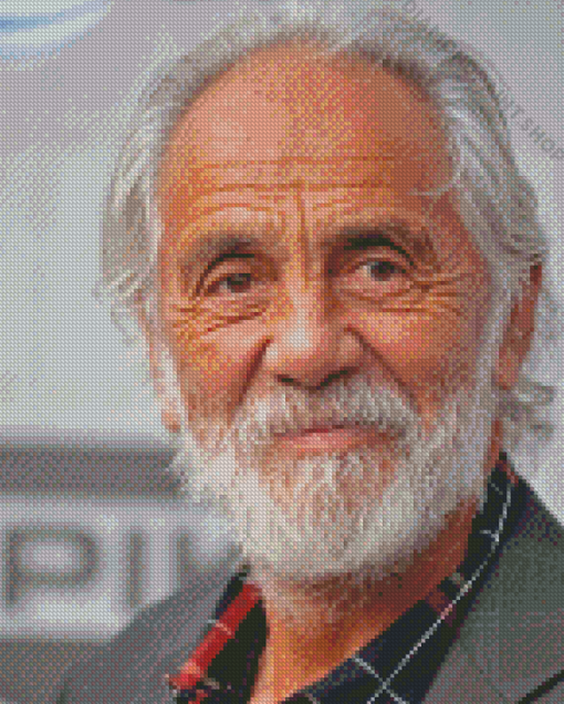 Tommy Chong Actor Diamond Paintings