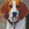 Treeing Walker Coonhound Diamond Paintings