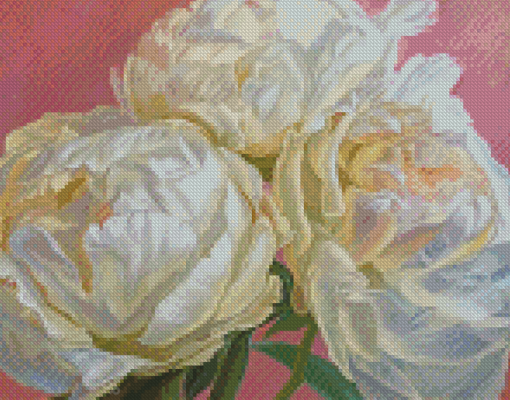 White Peonies Diamond Paintings