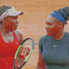 Williams Sisters Diamond Paintings