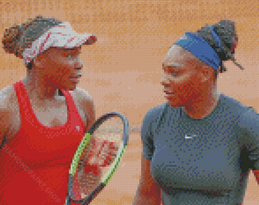 Williams Sisters Diamond Paintings