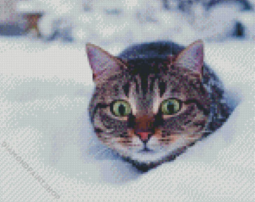 Winter Cat Diamond Paintings