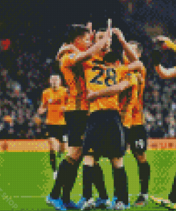 Wwfc Team Diamond Paintings