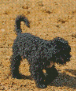 Aesthetic Black Poodle Puppy Diamond Paintings