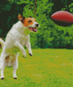 Aesthetic Dog Football Diamond Paintings