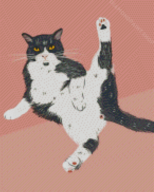 Aesthetic Funny Cat Diamond Paintings