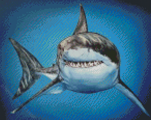 Aesthetic Great White Shark Diamond Paintings